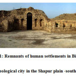 图1：在伊朗的Shapur Plank-South中Bishapur考古城的人类住区残余物