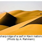 图3:卡维尔国家公园saif的尖脊(由a . Rahmani拍摄)