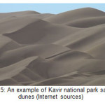 图5:卡维尔国家公园沙丘的一个例子(互联网来源)