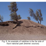 图6:卡维尔国家公园远侧的沙堆(网络来源)