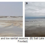 图7:(A)干旱少雨季节的盐湖。(B)雨季的盐湖(富达孜摄)