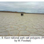 图8:卡维尔国家公园的盐多边形(由M. Foudazi拍摄)
