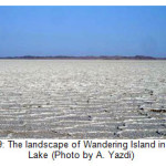 图9：盐湖中徘徊岛的景观（由A. Yazdi照片）