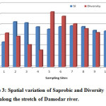 图3：沿着达摩尔河延伸的Saprobic和多样性指数的空间变化。