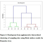 图4：使用Biotic Indices结果对Damodar River的生物索引结果的分解站点中的Dendograph。