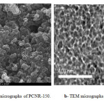 图3 PCNR-150的扫描电镜图。PCNR-150的B-TEM显微照片。