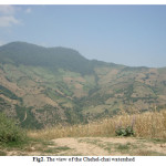 图二:Chehel-Chai流域的看法