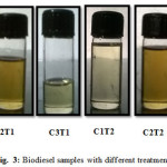 图3:不同处理的生物柴油样品gydF4y2Ba