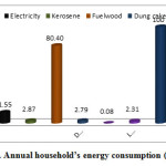 图3.年度家庭能耗（％）