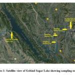 图1：显示抽样站的Gobind Sagar湖卫星视图。