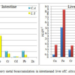 图1 (a和b).重金属在大肠和肝脏的生物积累。alticola和L. smithi