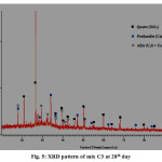 图5:混合C3第28天的XRD谱图