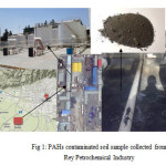图1：从芦苇石化工业中收集的PAHS受污染的土壤样本