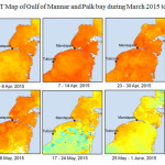 图12 2015年3 - 5月Mannar湾和Palk湾海温图