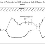 图2研究期间马纳尔湾光周期与海温变化对比