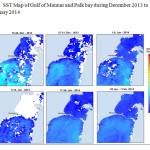 图4 2013年12月- 2014年2月马纳尔湾和帕尔克湾海温图