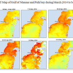 图6 2014年3 - 5月Mannar湾和Palk湾海温图