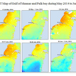图7 2014年5 - 6月马纳尔湾和帕尔克湾海温图