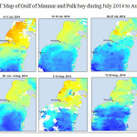 图8 2014年7 - 8月马纳尔湾和帕尔克湾海温图