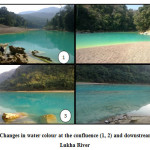 图2：卢克河汇合（1,2）和下游（3,4）的水颜色的变化