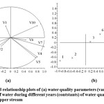 图2:tiruchirappalli上游水质(a)水质参数(变量，V)和(b)不同年份水质总体(常数)的得分和关系图