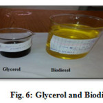 图6:甘油和生物柴油