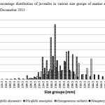 图2 1月份在2013年1月份的各种大小群体少年群中青少年的百分比分布