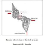 图1。介绍了研究区域及其渗透率域