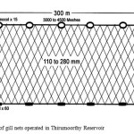 图1。Thirumoorthy水库刺网的设计细节