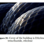 图20：建筑物的盖子是乙烯四氟乙烯，乙烯