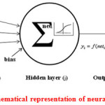 图1：神经网络的数学表示