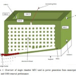图1：从城市固体废物和COD去除性能的发电中使用的单室MFC概述。