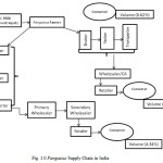 图1.0印度Pangasius供应链