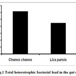 图1鱼类肠道总异养细菌负荷
