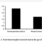 图2所示。对虾肠道总异养细菌负荷