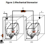 图1：机械生物反应器
