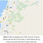 图1:沙捞越米里的采样点图。A) Taman Bulatan湖，B) Miri城市Fan湖，C) Taman Hiltop湖，D) Taman Awam Miri湖，E) Taman Tunku湖。