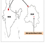 图1:印度农业研究所试验点，印度新德里