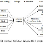 图8：废物管理实践在Menellik II医院流程图，2015年2月