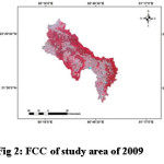 图2 2009年研究区FCC