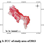 图3 2013年研究区FCC