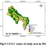 图5 2013年研究区LU/LC现状