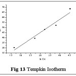 图13 Tempkin等温线