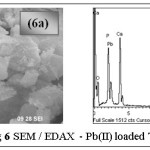 图6 SEM / EDAX - Pb(II)加载TGT