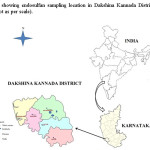 图2：地图显示德克西州卡纳达区，印度卡纳塔卡州达克斯岛采样地点（根据规模而不是地图）。