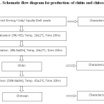 图1.甲壳素和壳聚糖生产的示意性流程图