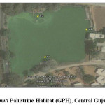 图1. Gomti Palustine Habitat（GPH），古吉拉特邦，印度