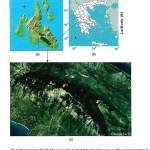 图1：在山地Aenos（C）的Cephalonia岛（A），希腊（B）和测量部位（W1，W2，E1，E2）中的研究区（B）和测量部位（W1，W2，E2），从谷歌地球修改9