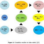 图4：水基质中的臭氧反应[25]