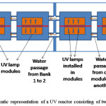 图5:由两个UV库组成的UV反应器示意图[77]